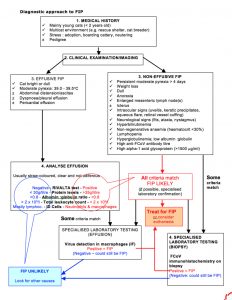 FIP algorithm