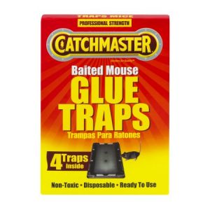 Sticky traps that don't poison the mouse...or your pet.