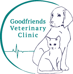 Contact Us Goodfriends Veterinary Clinic